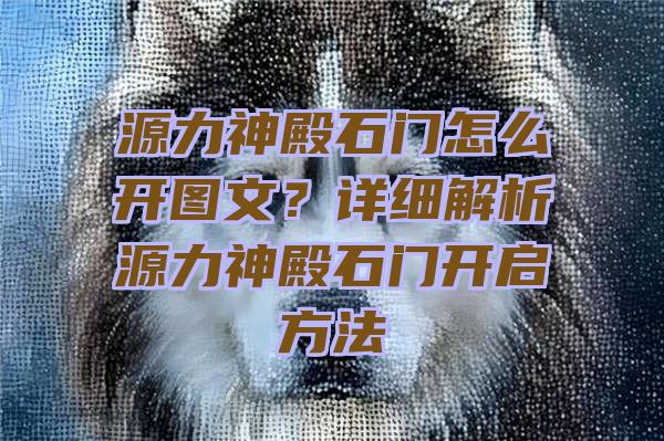 源力神殿石门怎么开图文？详细解析源力神殿石门开启方法