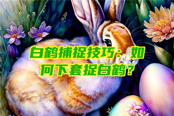 白鹤捕捉技巧：如何下套捉白鹤？