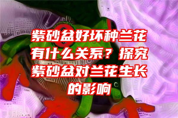 紫砂盆好坏种兰花有什么关系？探究紫砂盆对兰花生长的影响