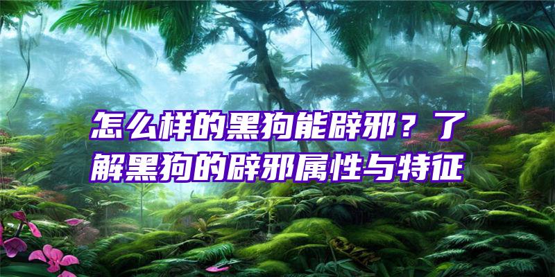 怎么样的黑狗能辟邪？了解黑狗的辟邪属性与特征