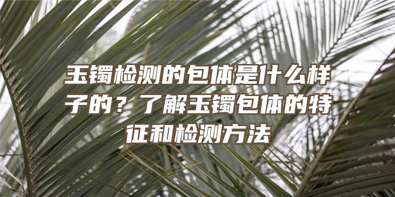 玉镯检测的包体是什么样子的？了解玉镯包体的特征和检测方法