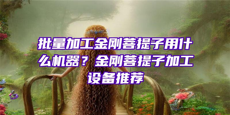 批量加工金刚菩提子用什么机器？金刚菩提子加工设备推荐