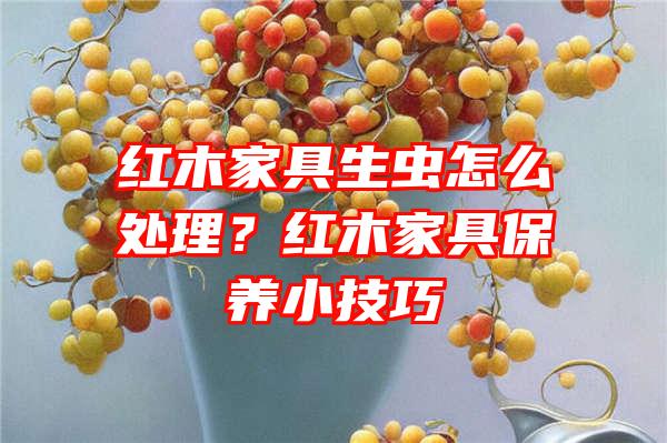 红木家具生虫怎么处理？红木家具保养小技巧