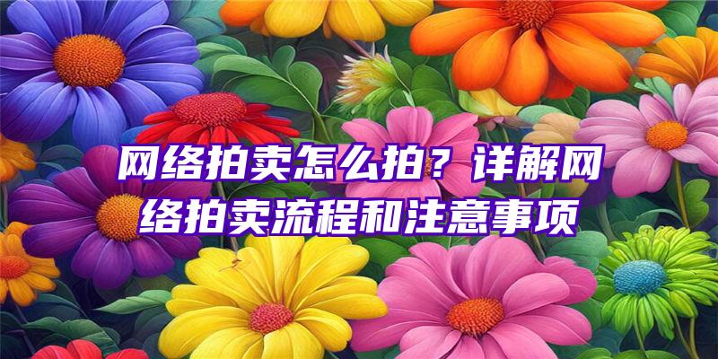 网络拍卖怎么拍？详解网络拍卖流程和注意事项