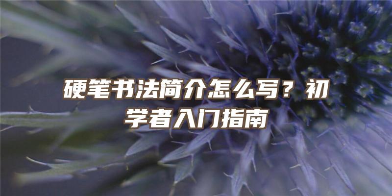 硬笔书法简介怎么写？初学者入门指南