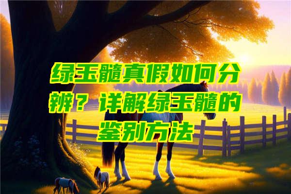 绿玉髓真假如何分辨？详解绿玉髓的鉴别方法