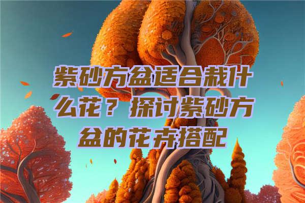 紫砂方盆适合栽什么花？探讨紫砂方盆的花卉搭配