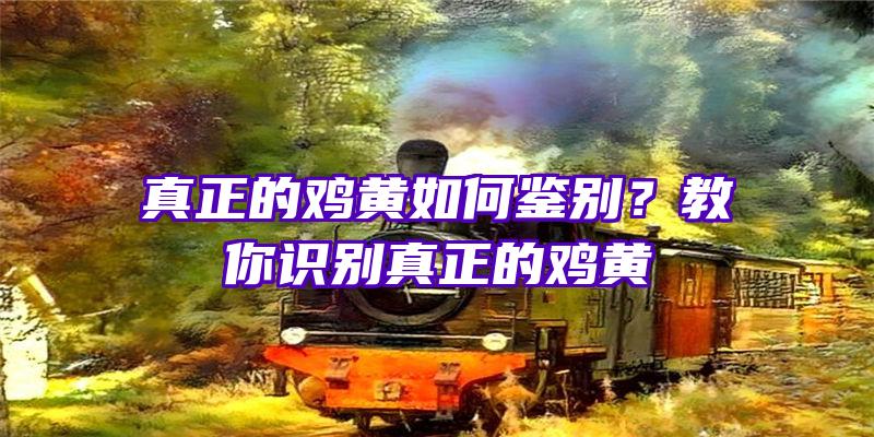 真正的鸡黄如何鉴别？教你识别真正的鸡黄