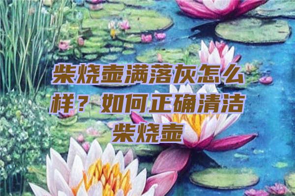 柴烧壶满落灰怎么样？如何正确清洁柴烧壶