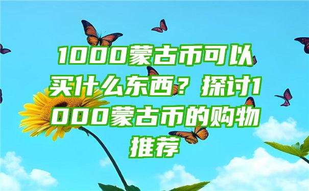 1000蒙古币可以买什么东西？探讨1000蒙古币的购物推荐