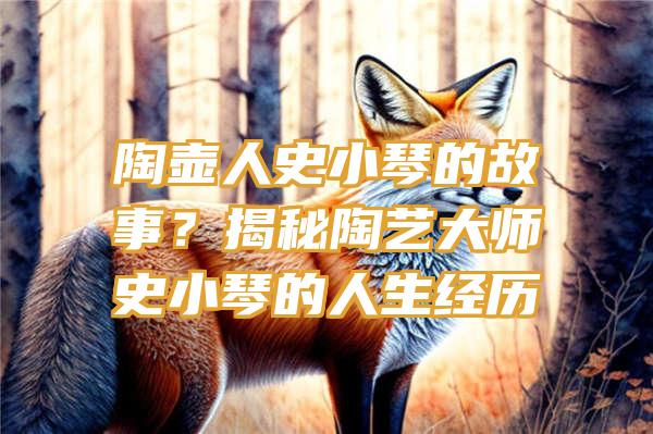 陶壶人史小琴的故事？揭秘陶艺大师史小琴的人生经历