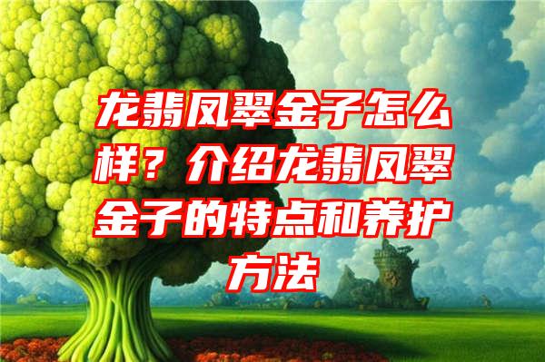 龙翡凤翠金子怎么样？介绍龙翡凤翠金子的特点和养护方法