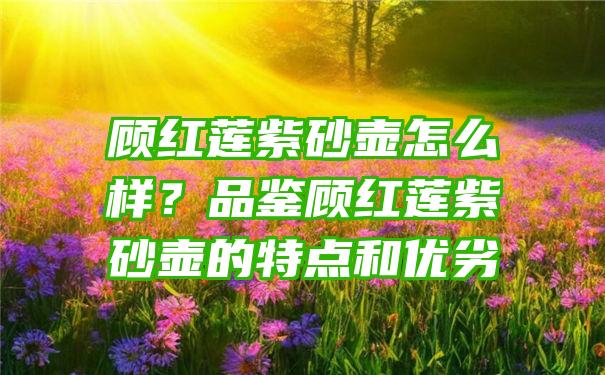 顾红莲紫砂壶怎么样？品鉴顾红莲紫砂壶的特点和优劣