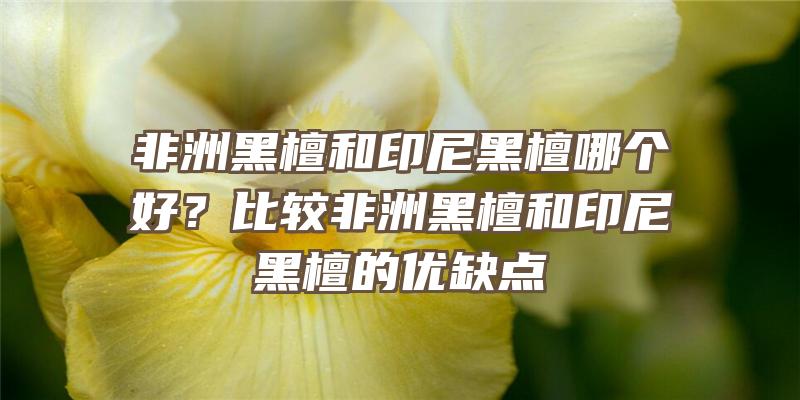 非洲黑檀和印尼黑檀哪个好？比较非洲黑檀和印尼黑檀的优缺点