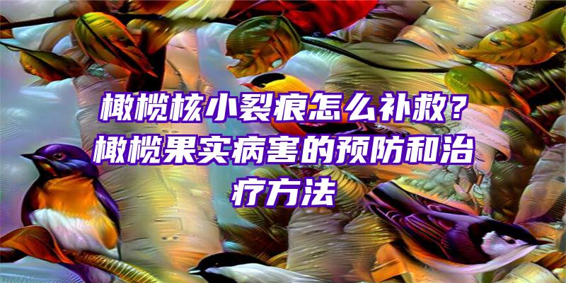 橄榄核小裂痕怎么补救？橄榄果实病害的预防和治疗方法