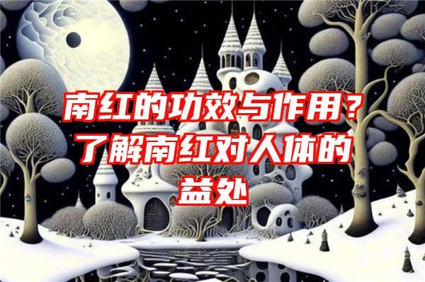 南红的功效与作用？了解南红对人体的益处