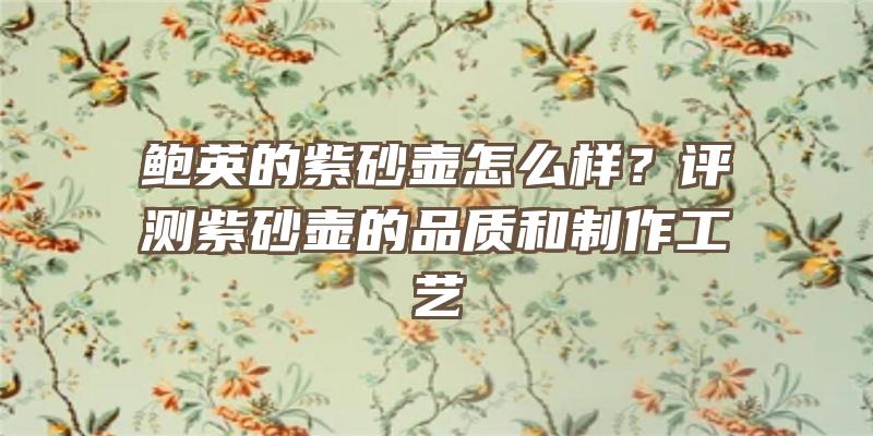 鲍英的紫砂壶怎么样？评测紫砂壶的品质和制作工艺