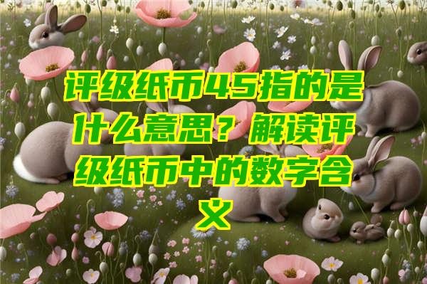 评级纸币45指的是什么意思？解读评级纸币中的数字含义