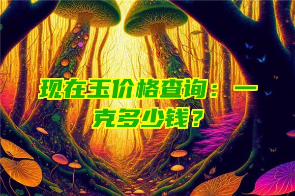 现在玉价格查询：一克多少钱？