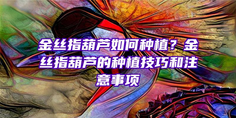 金丝指葫芦如何种植？金丝指葫芦的种植技巧和注意事项