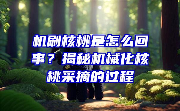 机刷核桃是怎么回事？揭秘机械化核桃采摘的过程