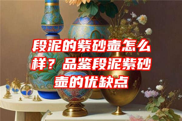 段泥的紫砂壶怎么样？品鉴段泥紫砂壶的优缺点