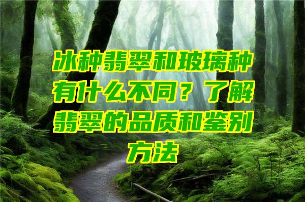 冰种翡翠和玻璃种有什么不同？了解翡翠的品质和鉴别方法