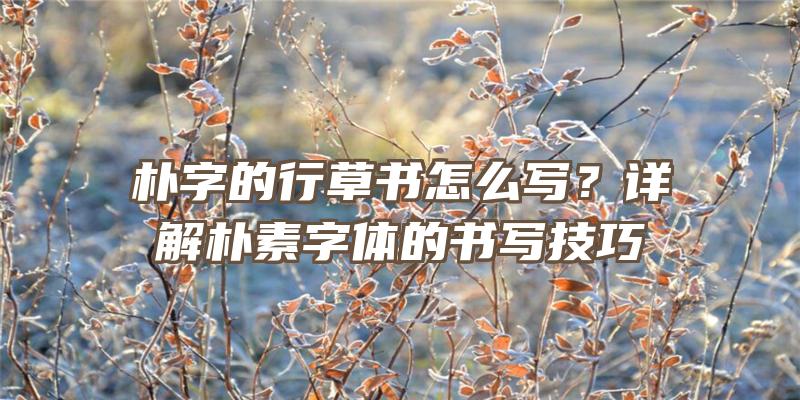 朴字的行草书怎么写？详解朴素字体的书写技巧