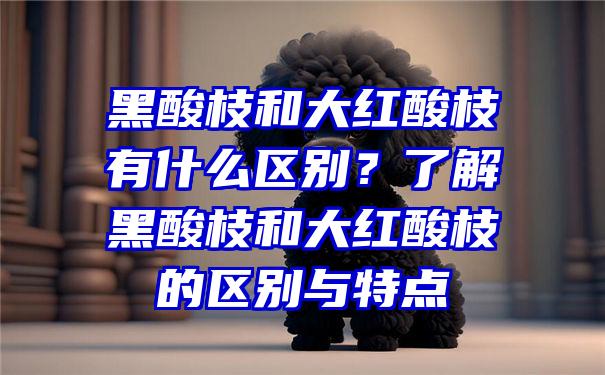 黑酸枝和大红酸枝有什么区别？了解黑酸枝和大红酸枝的区别与特点