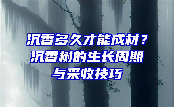 沉香多久才能成材？沉香树的生长周期与采收技巧