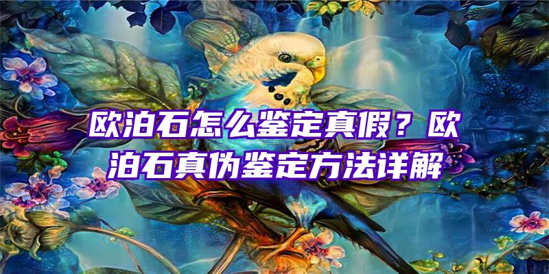 欧泊石怎么鉴定真假？欧泊石真伪鉴定方法详解