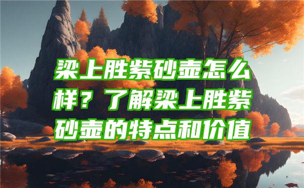 梁上胜紫砂壶怎么样？了解梁上胜紫砂壶的特点和价值