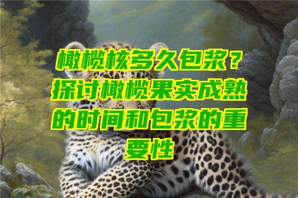 橄榄核多久包浆？探讨橄榄果实成熟的时间和包浆的重要性