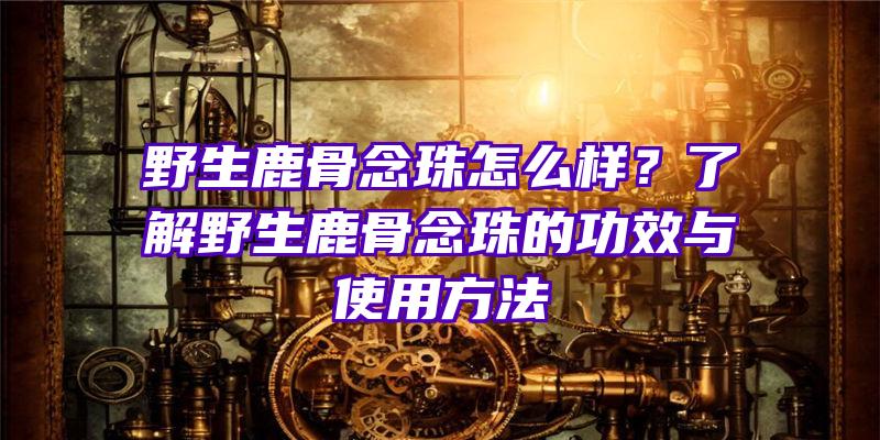 野生鹿骨念珠怎么样？了解野生鹿骨念珠的功效与使用方法