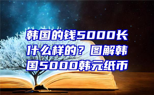 韩国的钱5000长什么样的？图解韩国5000韩元纸币