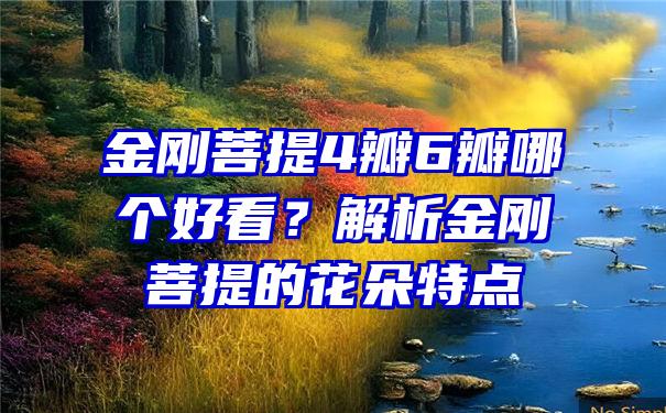 金刚菩提4瓣6瓣哪个好看？解析金刚菩提的花朵特点