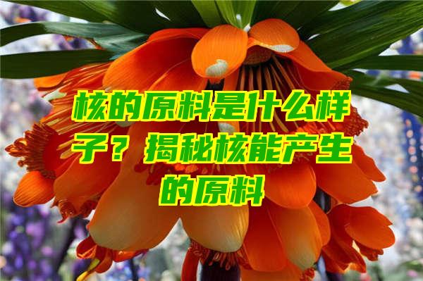 核的原料是什么样子？揭秘核能产生的原料