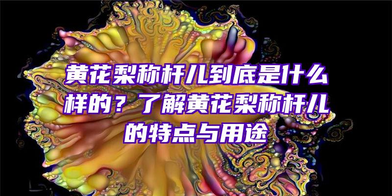 黄花梨称杆儿到底是什么样的？了解黄花梨称杆儿的特点与用途