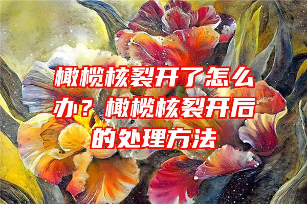 橄榄核裂开了怎么办？橄榄核裂开后的处理方法