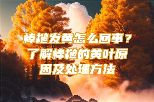 棒槌发黄怎么回事？了解棒槌的黄叶原因及处理方法