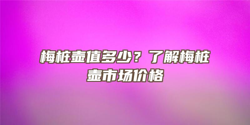 梅桩壶值多少？了解梅桩壶市场价格