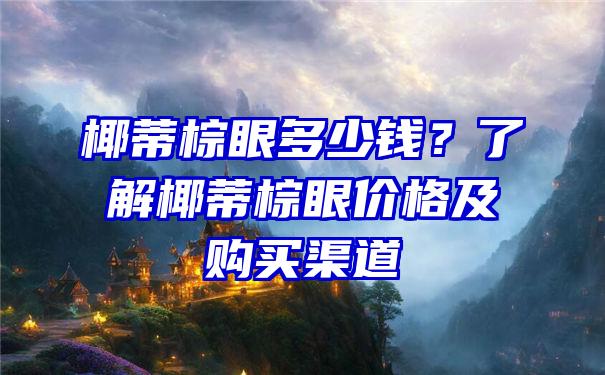 椰蒂棕眼多少钱？了解椰蒂棕眼价格及购买渠道