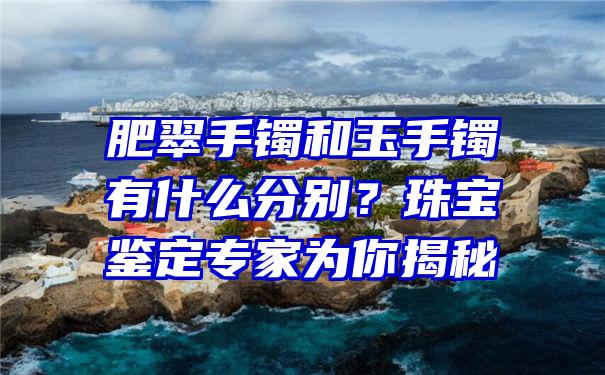 肥翠手镯和玉手镯有什么分别？珠宝鉴定专家为你揭秘