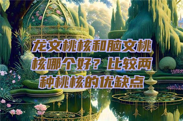 龙文桃核和脑文桃核哪个好？比较两种桃核的优缺点