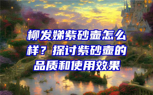 柳发娣紫砂壶怎么样？探讨紫砂壶的品质和使用效果