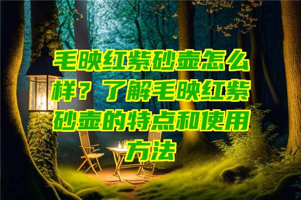 毛映红紫砂壶怎么样？了解毛映红紫砂壶的特点和使用方法