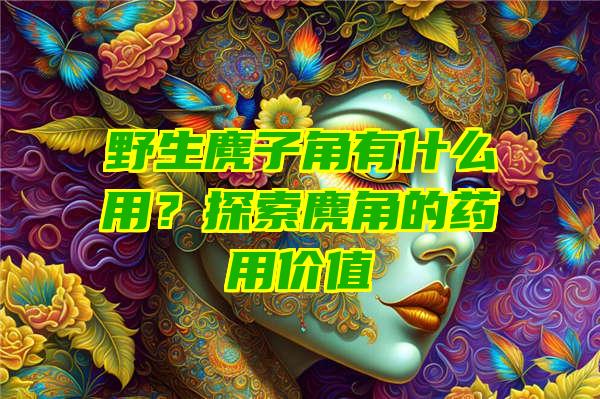 野生麂子角有什么用？探索麂角的药用价值