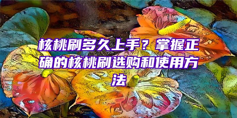 核桃刷多久上手？掌握正确的核桃刷选购和使用方法