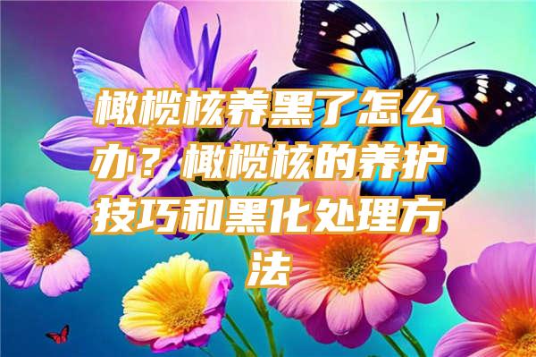 橄榄核养黑了怎么办？橄榄核的养护技巧和黑化处理方法