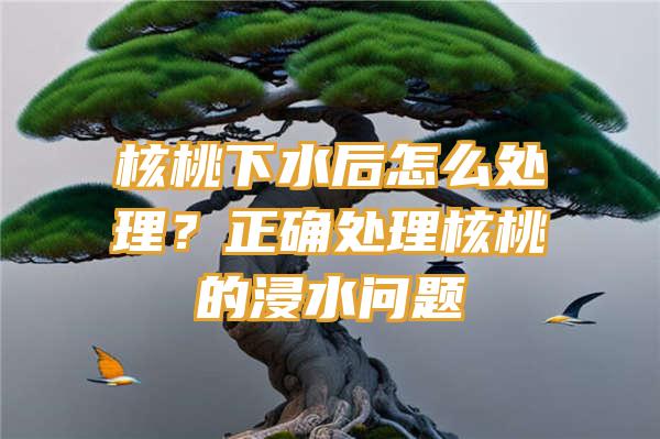 核桃下水后怎么处理？正确处理核桃的浸水问题